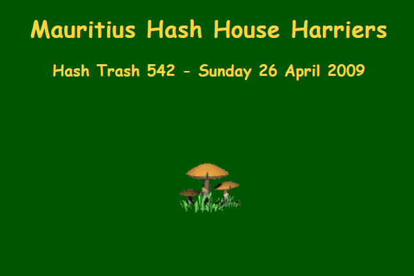 Hash Trash 542 Future Image Mauritius