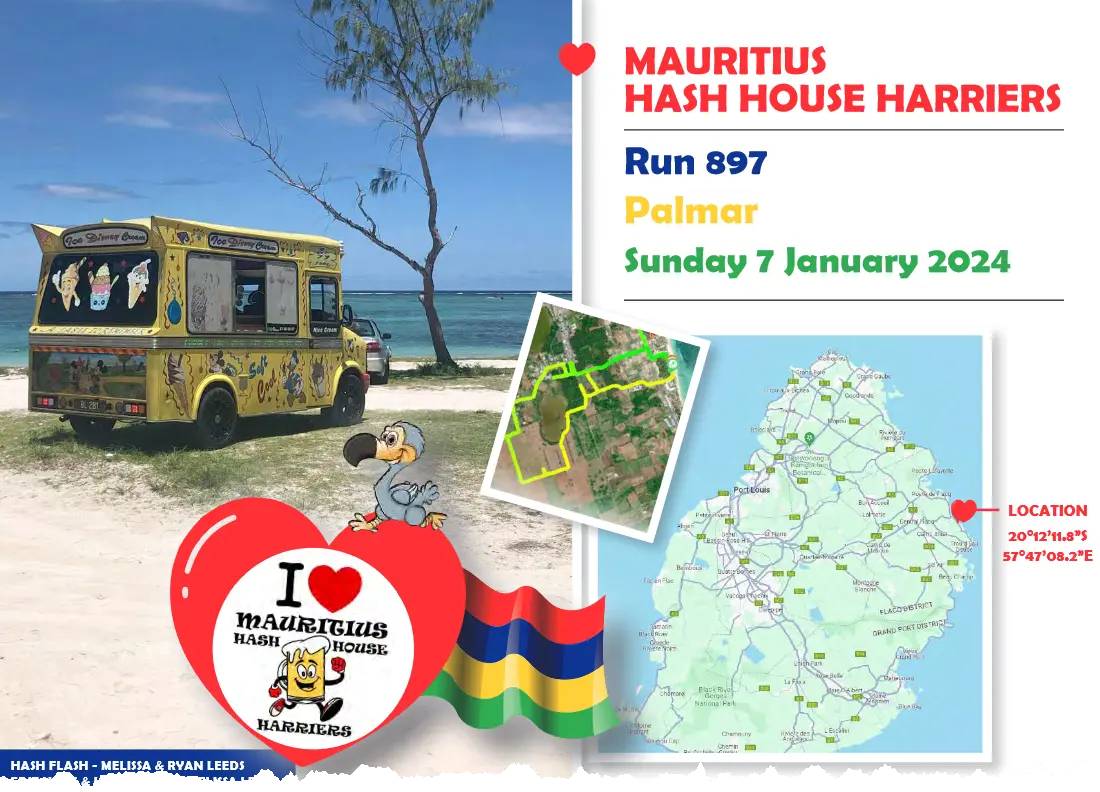 hash trash mauritius future image 897 1