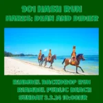 hash run mauritius 901 Riambel Backdrop 3 3 24