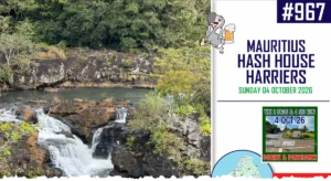 hash trash 967 featured